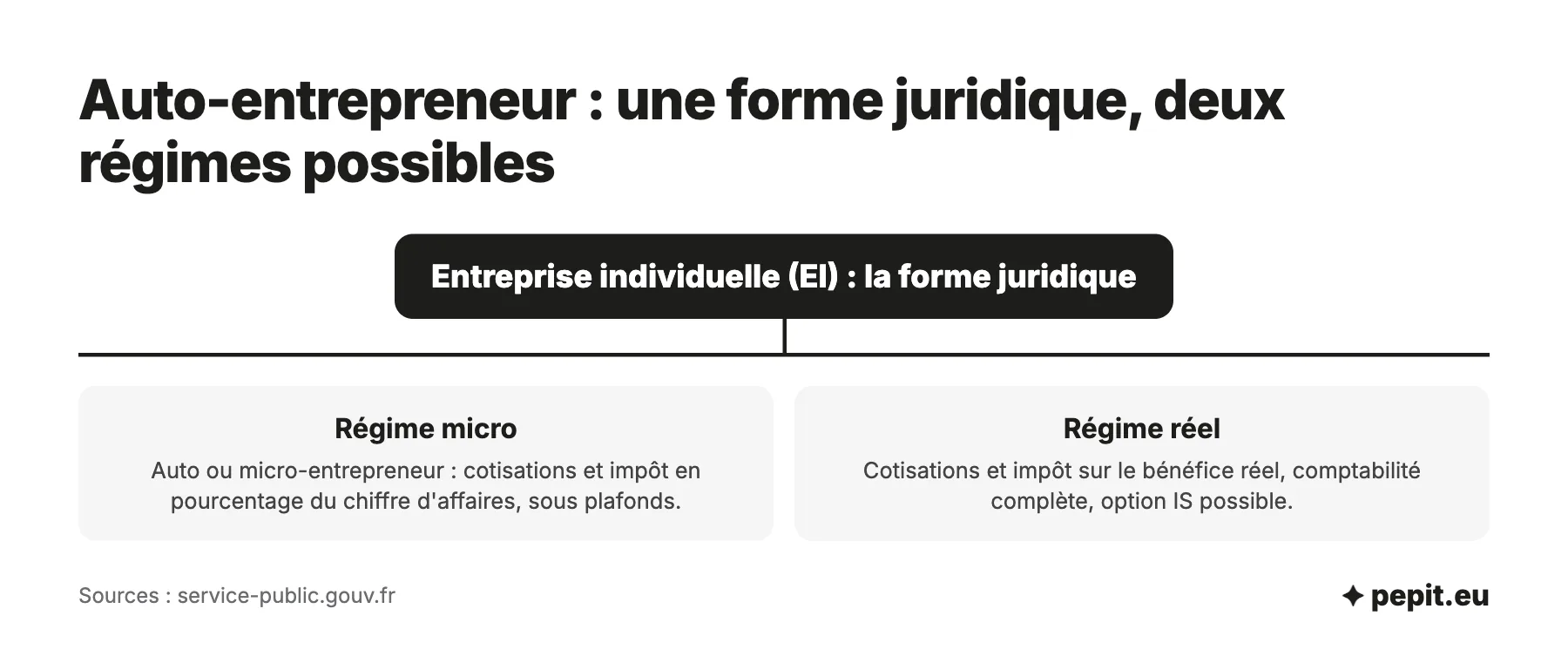 Forme juridique d'un auto-entrepreneur : l'entreprise individuelle, au régime micro ou au régime réel, sans société distincte de la personne.